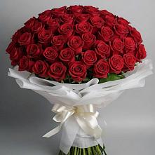 Букет 101 Красная роза Блэк Мэджик в Ревякино