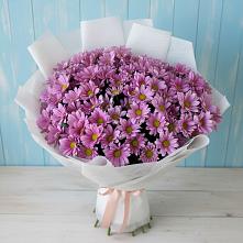 Букет цветов из:  Хризантемы #REPLACE_PRED# Ревякино