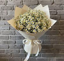 Букет цветов из:  Ромашки #REPLACE_PRED# Ревякино