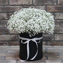 Цветочная композиция из Гипсофила в шляпной коробке в Ревякино