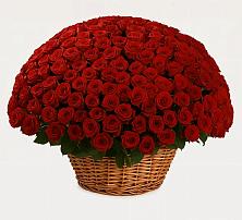 Премиум букет из: Розы в Ревякино